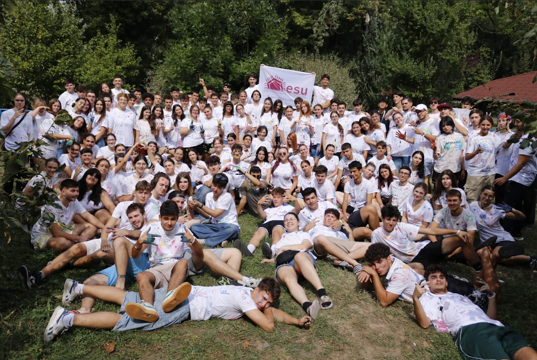 Workshop electronică